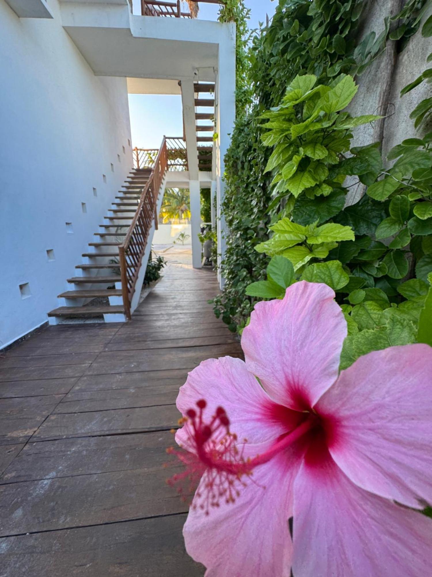Mexhe Hotel El Cuyo Luaran gambar
