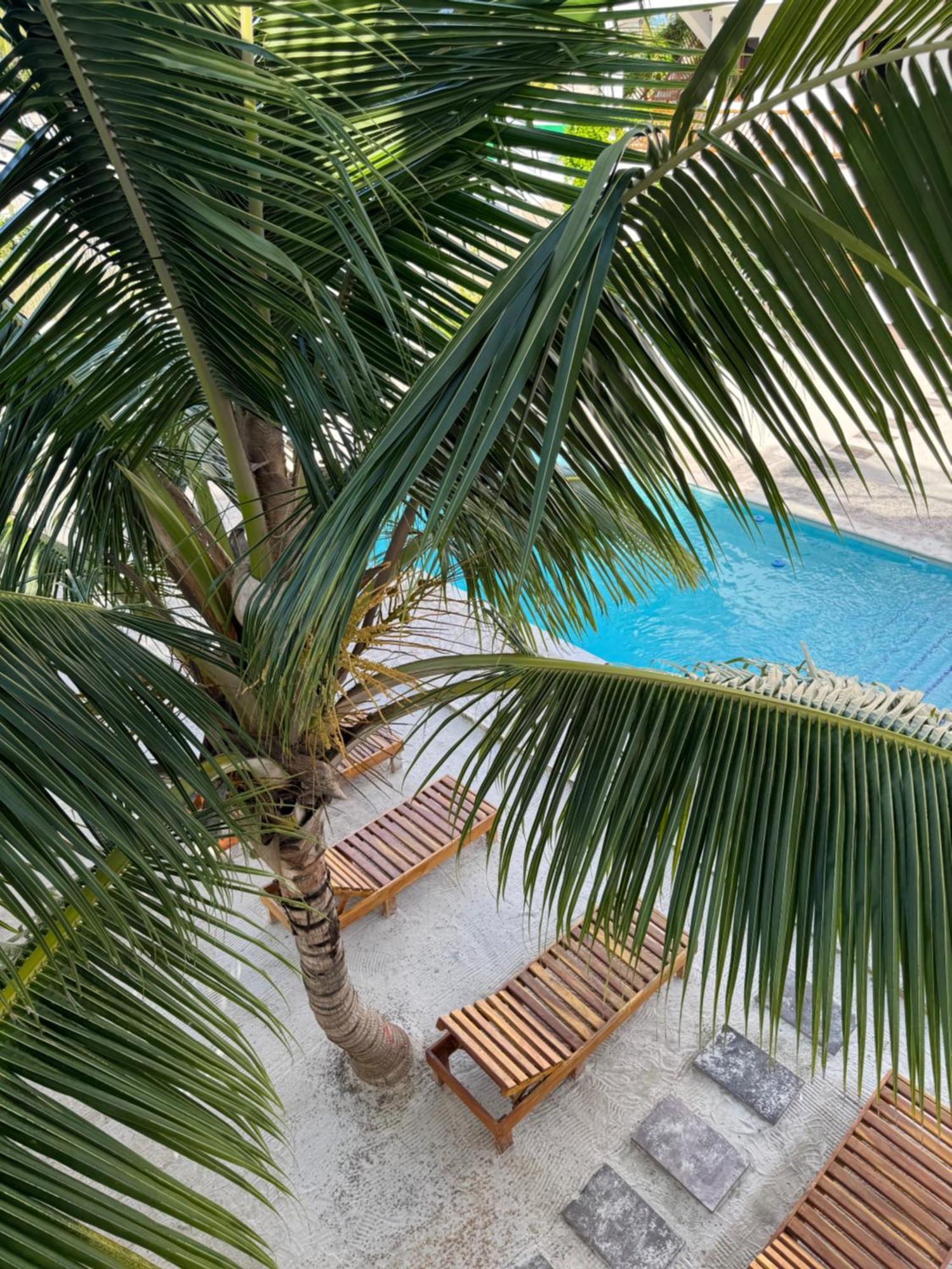 Mexhe Hotel El Cuyo Luaran gambar